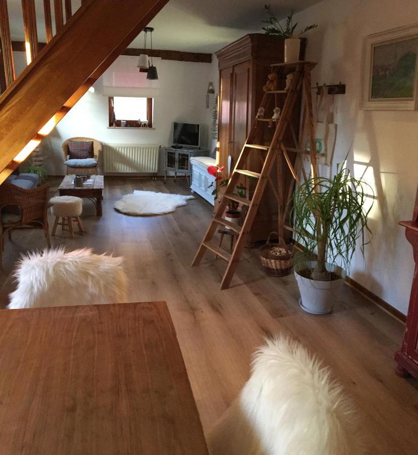 Les Appartements D'Estelle La Petite-Pierre Ngoại thất bức ảnh
