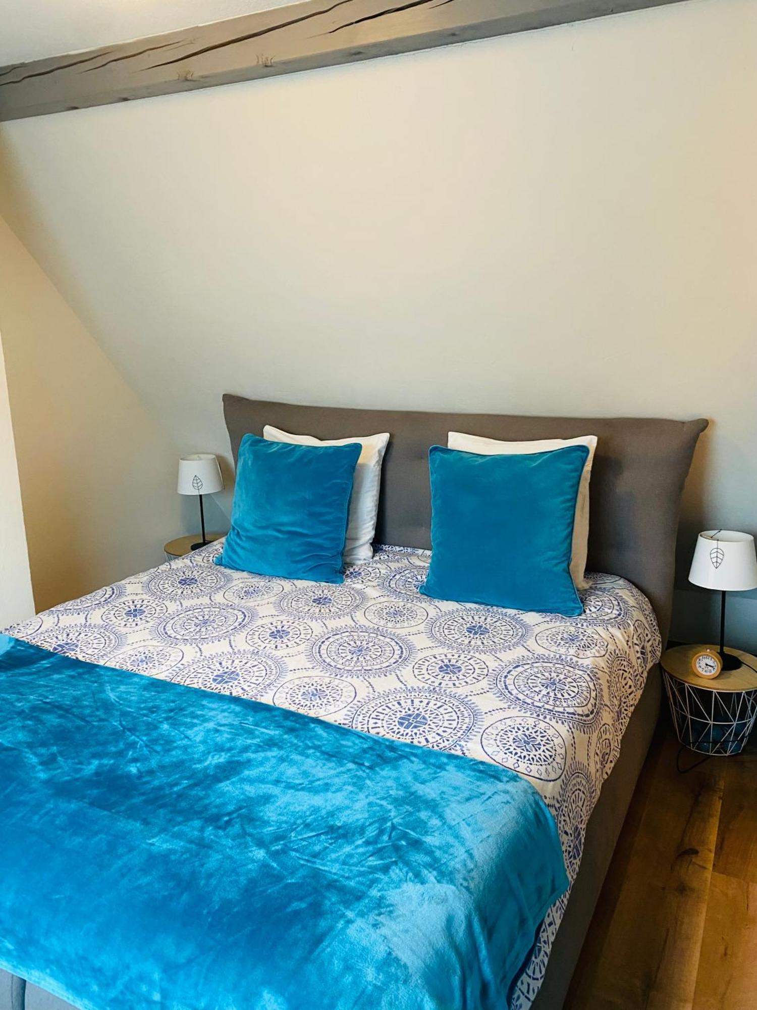 Les Appartements D'Estelle La Petite-Pierre Ngoại thất bức ảnh