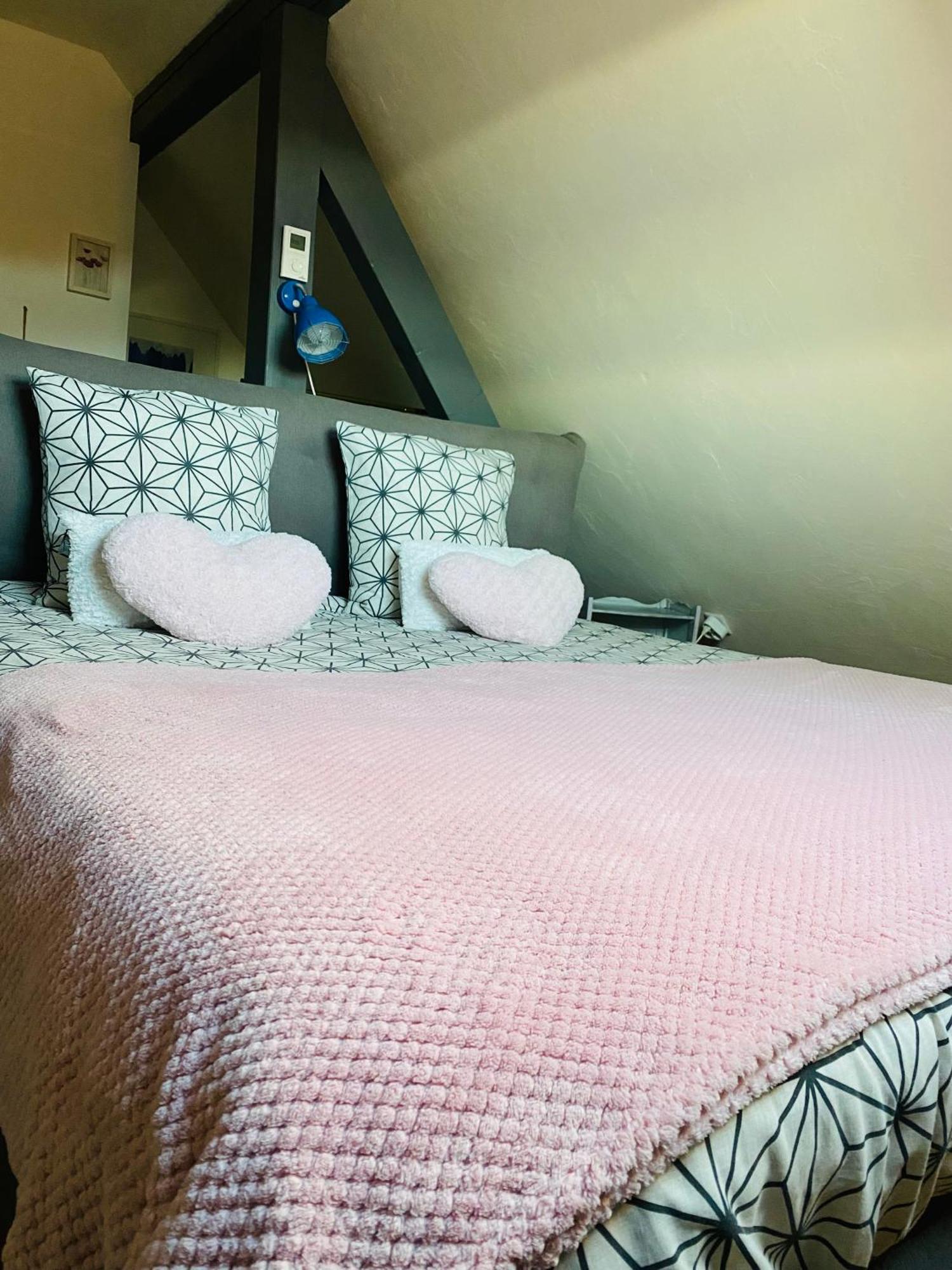 Les Appartements D'Estelle La Petite-Pierre Ngoại thất bức ảnh