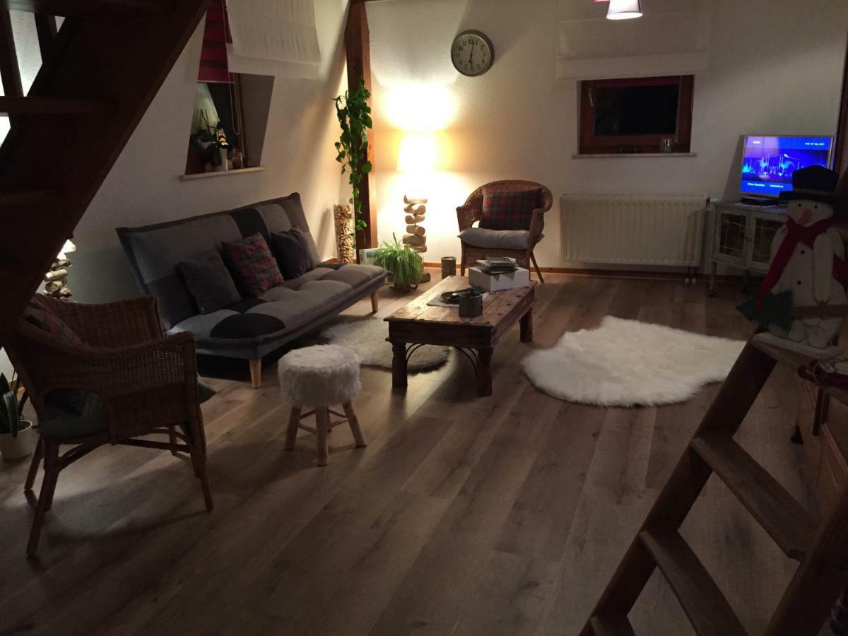 Les Appartements D'Estelle La Petite-Pierre Ngoại thất bức ảnh