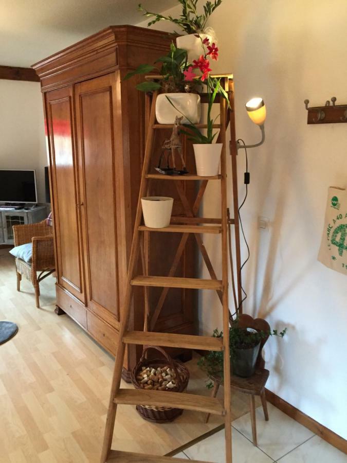 Les Appartements D'Estelle La Petite-Pierre Ngoại thất bức ảnh