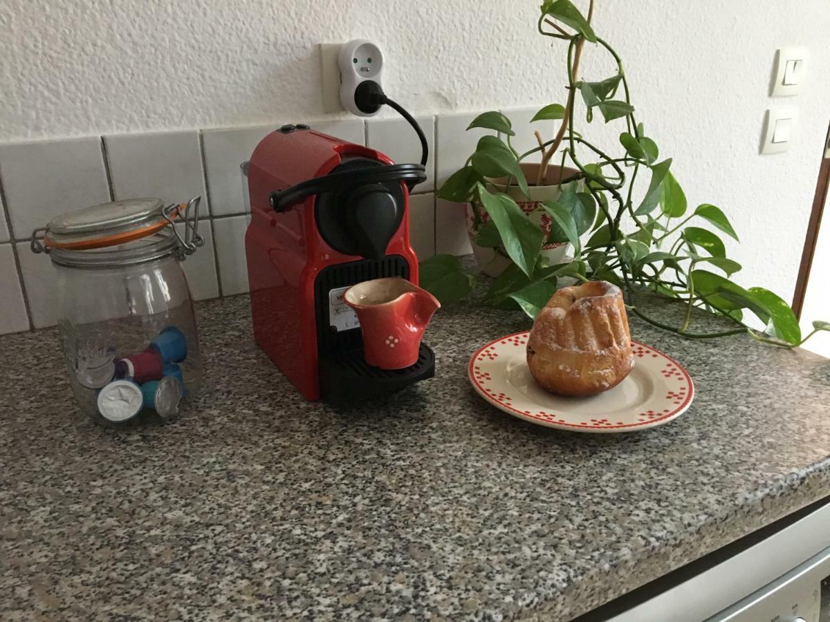 Les Appartements D'Estelle La Petite-Pierre Ngoại thất bức ảnh