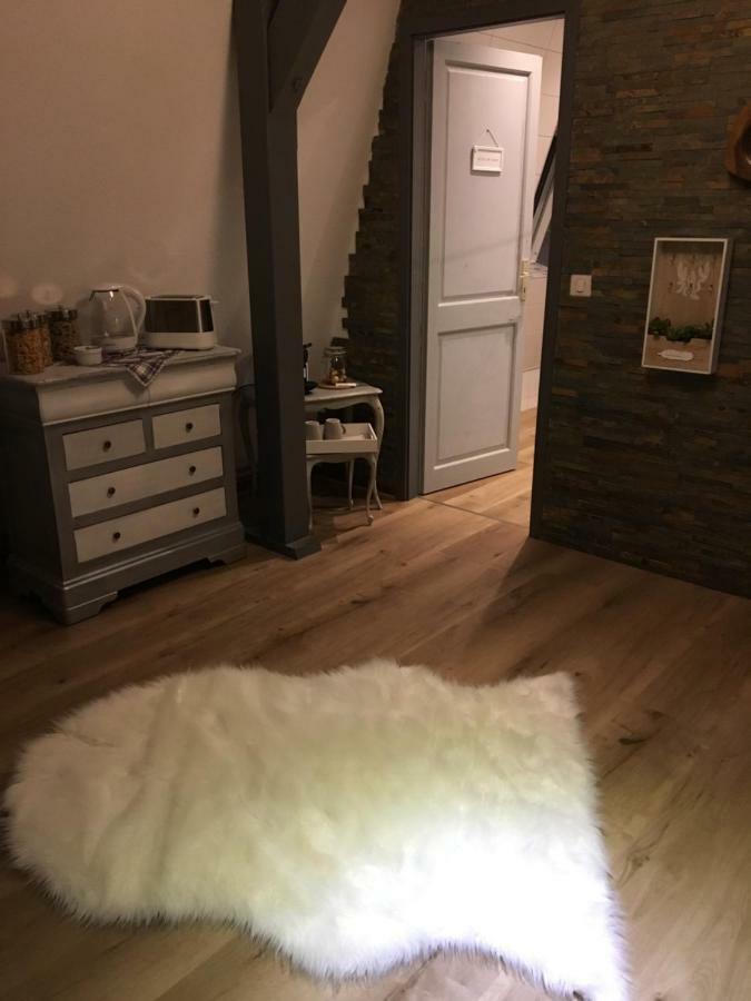 Les Appartements D'Estelle La Petite-Pierre Ngoại thất bức ảnh