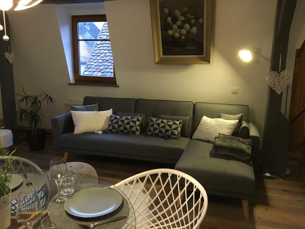 Les Appartements D'Estelle La Petite-Pierre Ngoại thất bức ảnh