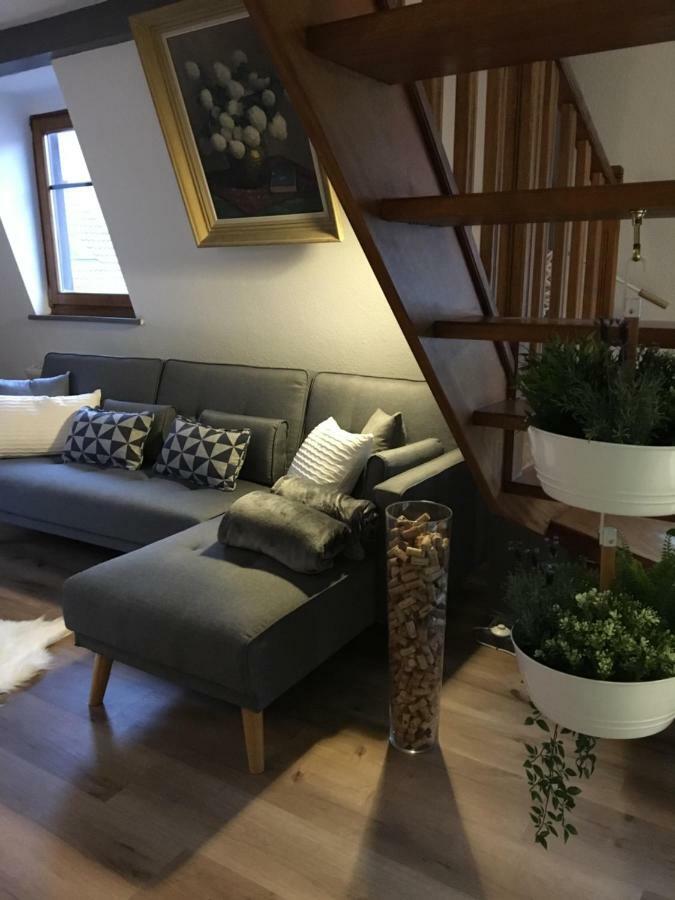 Les Appartements D'Estelle La Petite-Pierre Ngoại thất bức ảnh